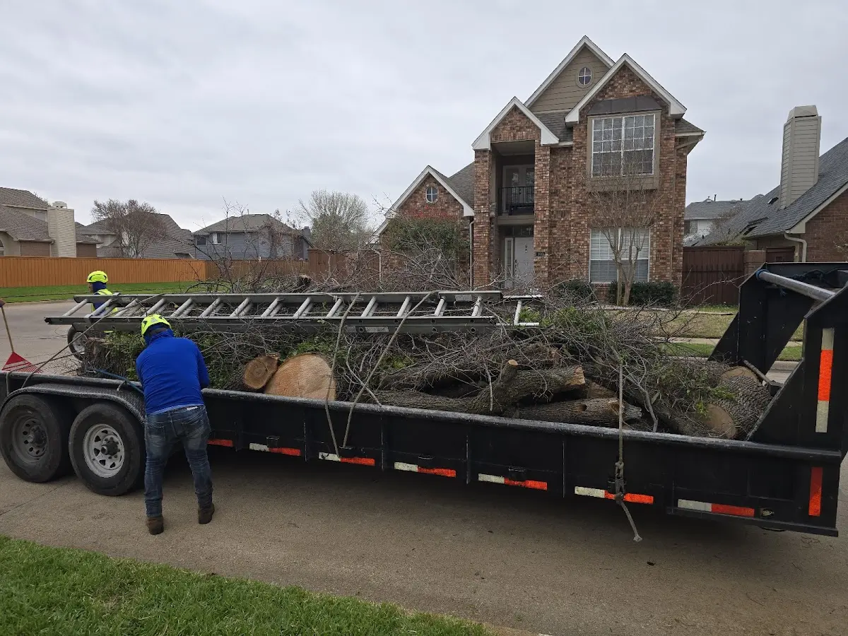 Expert Tree Pest Control with proper safety equipment in Randolph